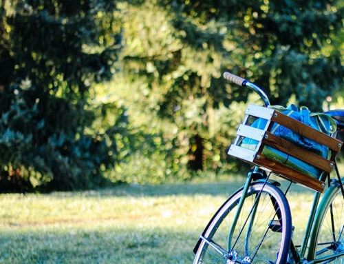 Transitions In UX Design