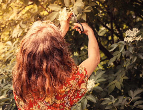 Jeffrey Veen – About Design