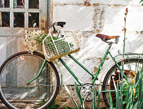 Portugal 2013 Road-Trip Gallery