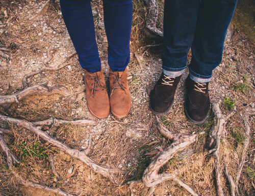 Recent trends in storytelling